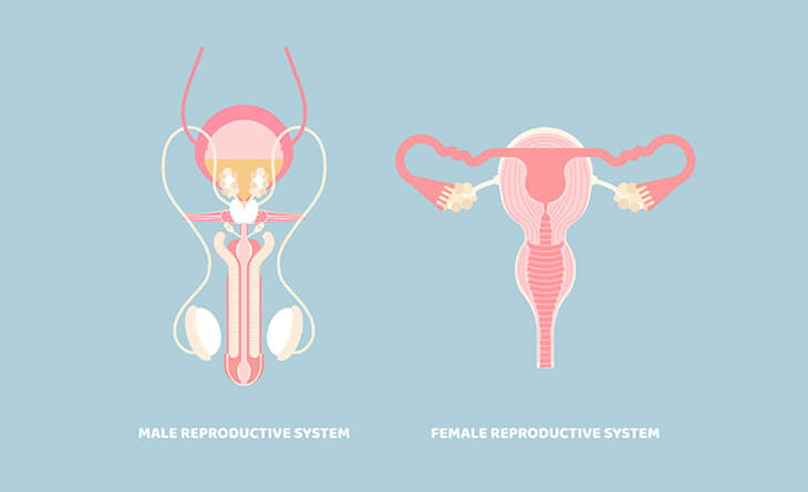 best ivf centre in delhi