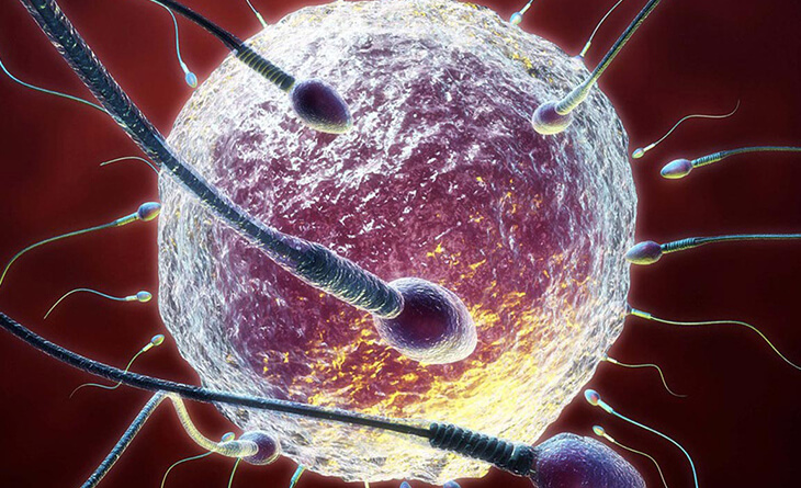 male infertility treatment