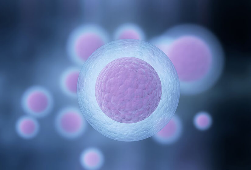 IVF consultant in Delhi