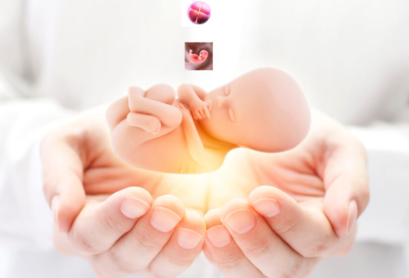Best IVF Doctors in Delhi
