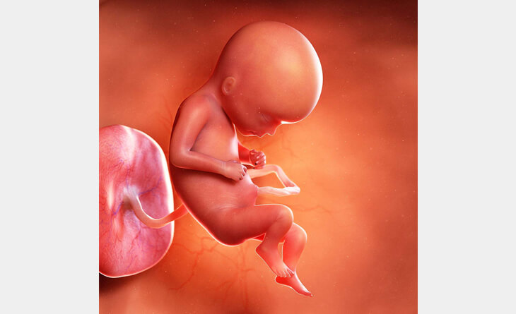 Best gynaecologist in Delhi