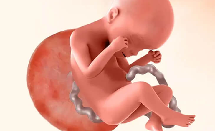 Best gynaecologist in Delhi