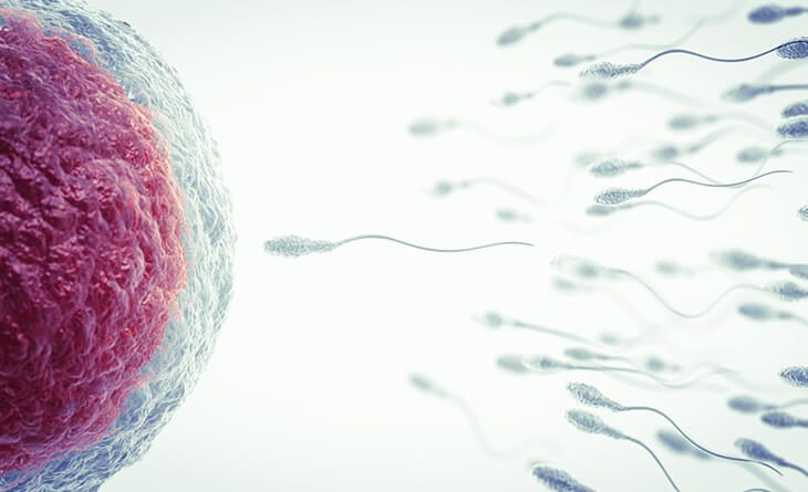 iui treatment cost in delhi