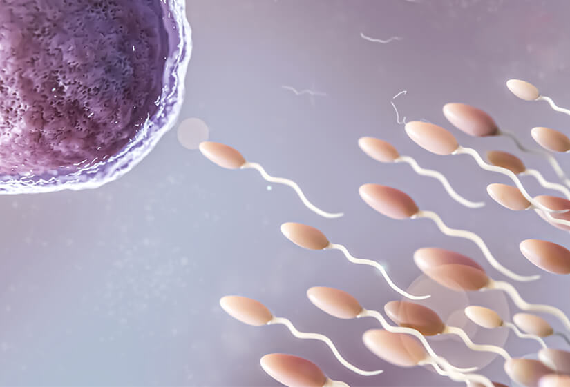 IVF treatment