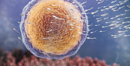 male infertility treatment