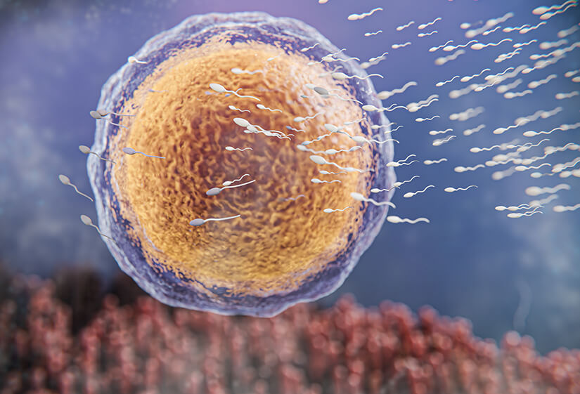 male infertility treatment