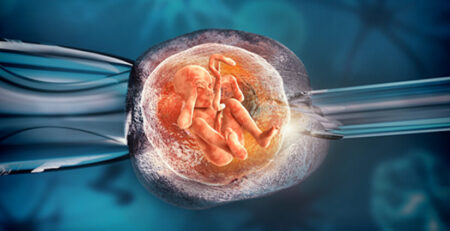 IVF success rate