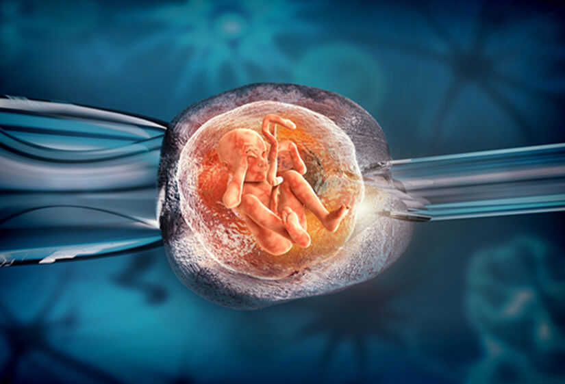 IVF success rate