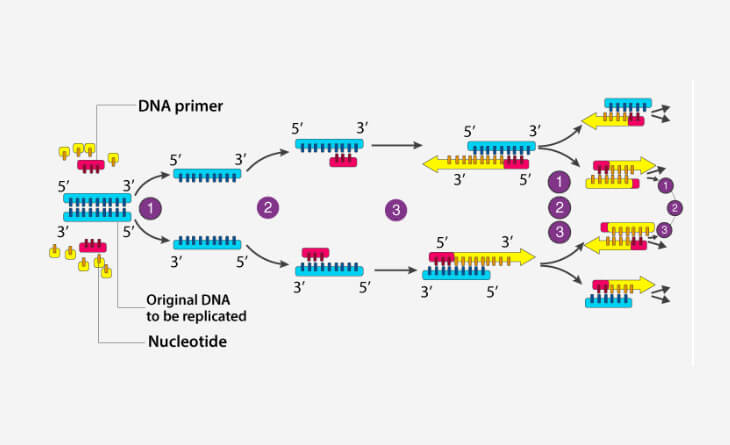 genetic IVF testing