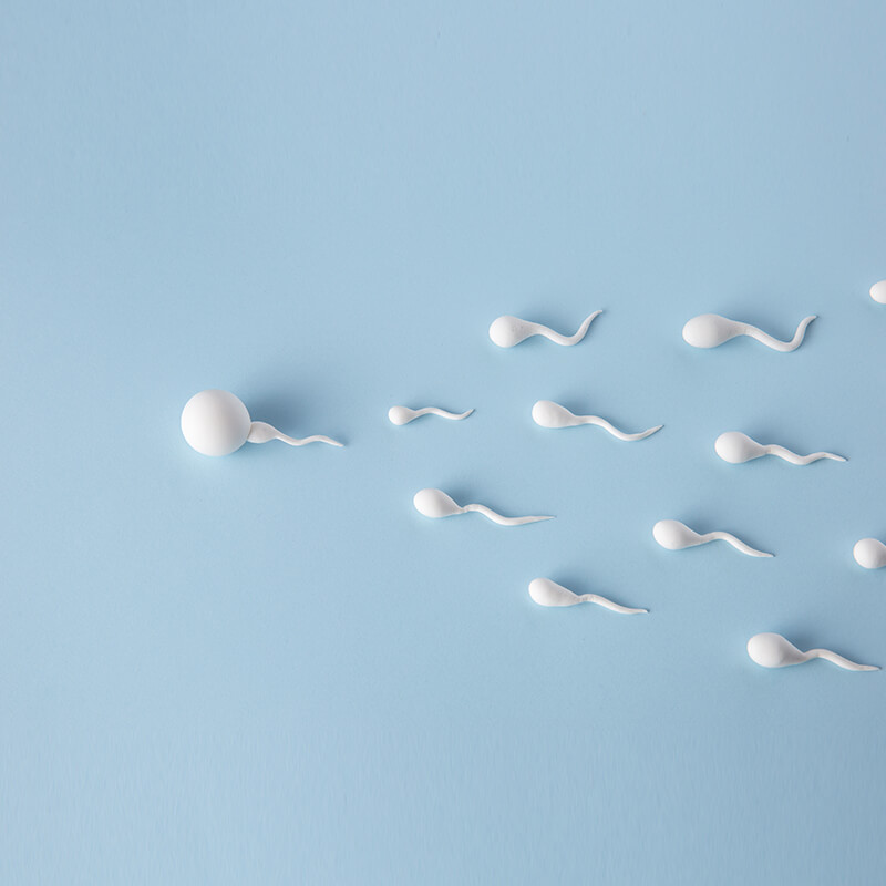 male Infertility Treatment