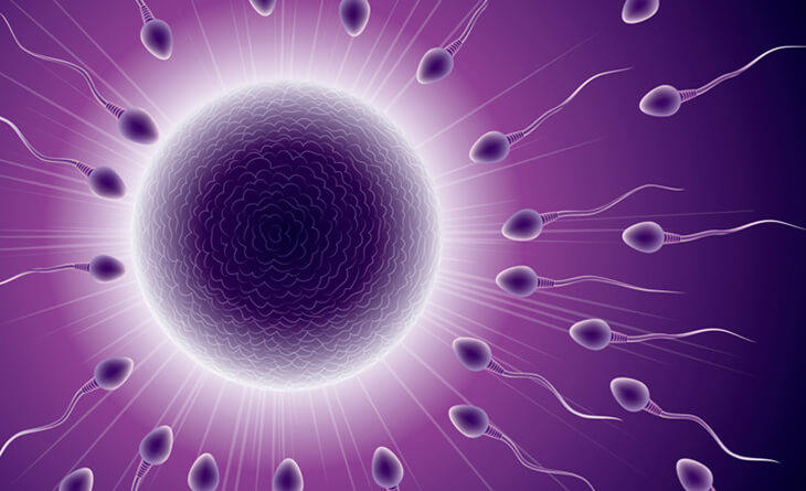 Sperm Freezing Duration