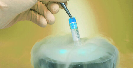 Egg freezing process