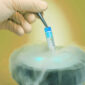 Egg freezing process